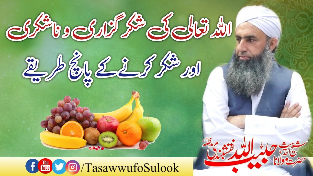 Allah ki Shukar Guzari & Nashukri | Latest bayan 2023| Molana Peer Habibullah Naqshbandi db