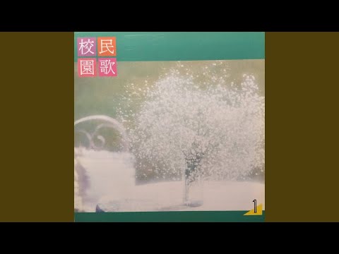 恰似你的温柔