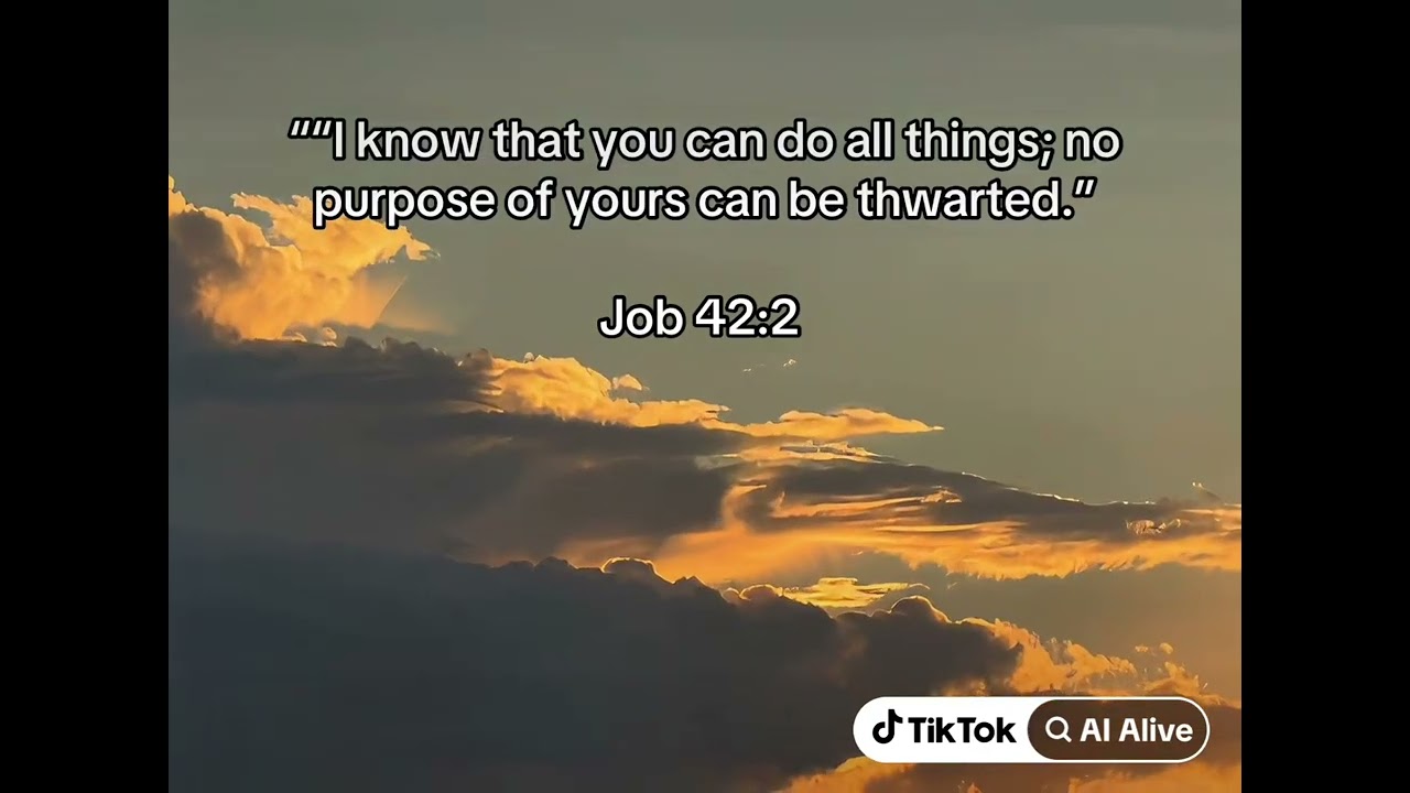 Job‬ ‭42‬:‭2‬ ‭daily bible verses 