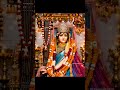 उनकी एक कृपा दृष्टि ही भक्त के जीवन का हर अंधकार दूर कर देती है। ❤️#karaulisarkar #karaulishankar