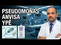 POLÊMICA ANVISA, YPÊ, PSEUDOMONAS E RISCOS SAÚDE: Entenda riscos da bactéria encontrada NA YPÊ