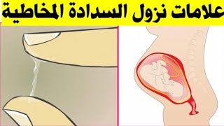 هذا هو شكل السدادة المخاطية وعلامات تخبرك أنها نزلت منك واقتربت الولادة ان شاء الله