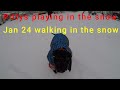 Dogs walking & playing in the snow
