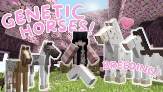 Breeding Genetic Horses In Minecraft! II Realistic Horse Genetics