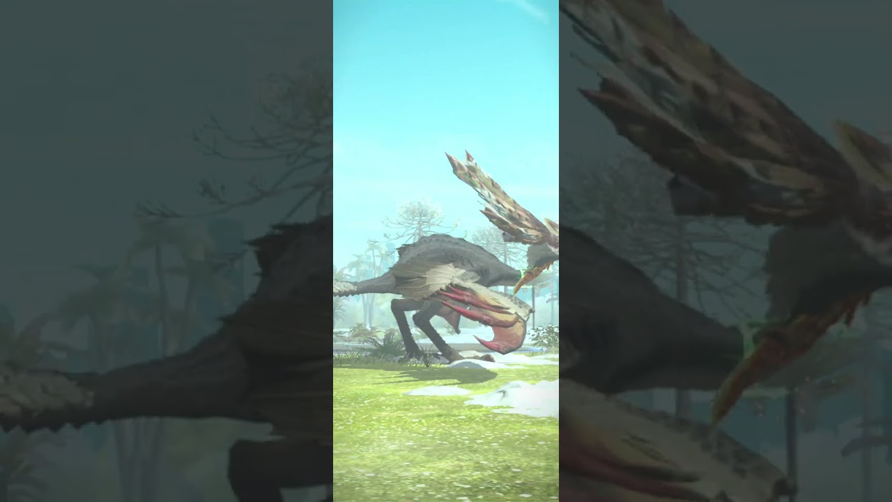 [SA] Hunting Aknosom. 