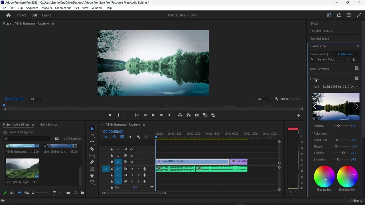 Color Grading and Adding LUT | Basic learning | English | Premiere Pro