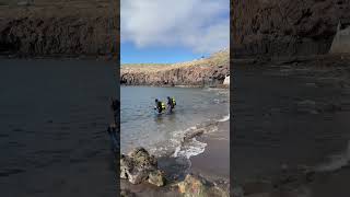 PHAROS Citizen Science Marine BioBlitz 2026 Lanzarote