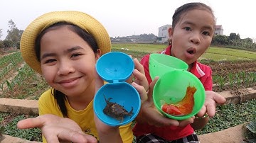 Lộc TiVi đi xúc Tôm, Cua, Cá ở ngoài đồng may mắn được Cá Vàng, Cá Cờ và Cua