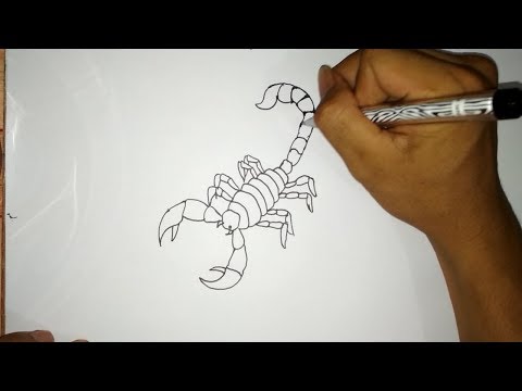 Cara menggambar Kalajengking | How to draw Scorpion