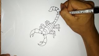 Cara menggambar Kalajengking | How to draw Scorpion