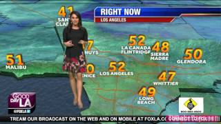 Araksya Katyan - Fox11 Los Angeles Hd 02192016