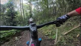 Mogo MTB - Vertiginous