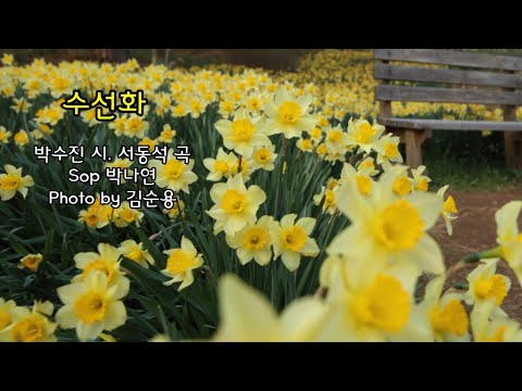 수선화(박수진 시. 서동석 곡) Sop 박나연. photo by 김순용