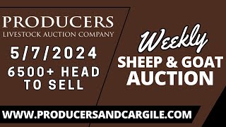 5/7/2024 - Part 2 - Sheep & Goat Auction - Producers Livestock Auction Company