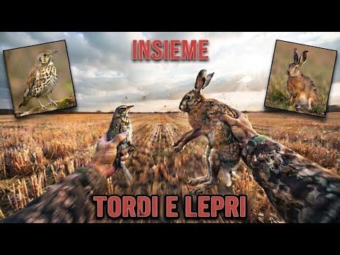 Video CACCIA a LEPRI e TORDI | per la prima volta INSIEME - due PASSIONI per un unico AMORE | hunt - caza