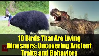10 Birds That Are Living Dinosaurs: Uncovering Ancient Traits and Behaviors