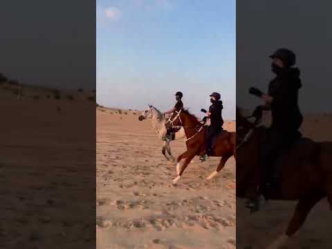 ركوب الخيل 3