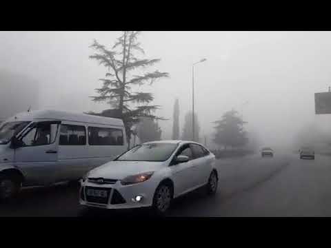 ამ წუთებში  ძლიერი ნისლი, ხილვადობა შეზღუდულია