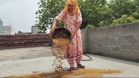 I washed my eyes and the weather became bad..🌾 #youtubers #shortvideos #popular #viralvideos #daily ..💕🌾