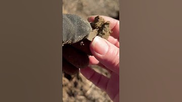 FINDING TREASURE WITH THE NOKTA LEGEND #teamlynch #metaldetecting #noktalegend