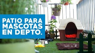 Cómo hacer un patio para mascotas en departamentos