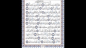 سورة الغاشية  بصوت القارئ أبو بكر الشاطري