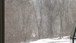 Clarksburg, MD  Feb22 2021 8:15am Steady Snowfall