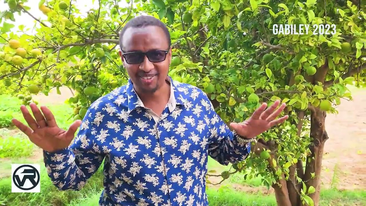 beeraha gabiley  17/2/2023