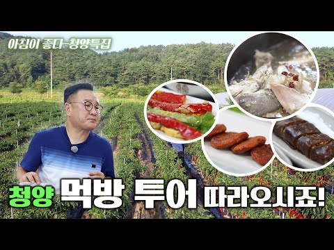 This is 청양 먹방 타임므아~♪ 구기자&고추 음식으로 여름나기~ | 200827 아침이 좋다