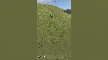 (RUST) I SHOT DOWN THERE SCRAPPY THEY WERE LOADED