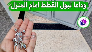 منع القطط من التبول امام باب المنزل⛔️ تدابير منزلية تريحك في  رمضان 2023