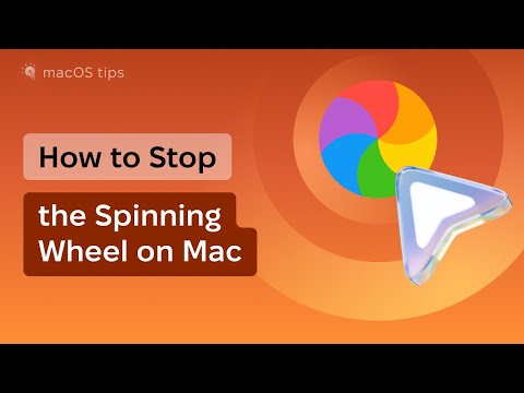 How to stop the spinning beach ball on Mac