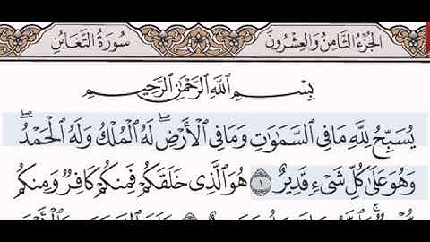 سورة التغابن//لفضيلة الشيخ علي الحذيفي