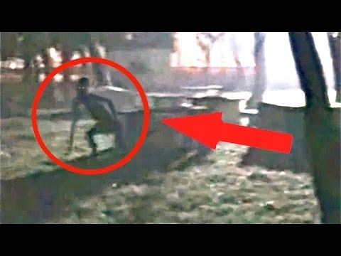 კუმისელი რეიკი მგლებმა მცხეთაში გამოიჭირეს