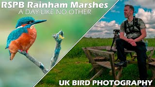 Searching for Kingfishers at RSPB Rainham Marshes | Sony A7IV & Sony FE 200-600mm F5.6-6.3 G OSS