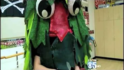 Gabriel Stanford Tree CBS Channel 5 San Francisco....