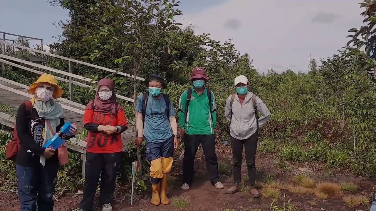 Better Peat Forest Better Climate