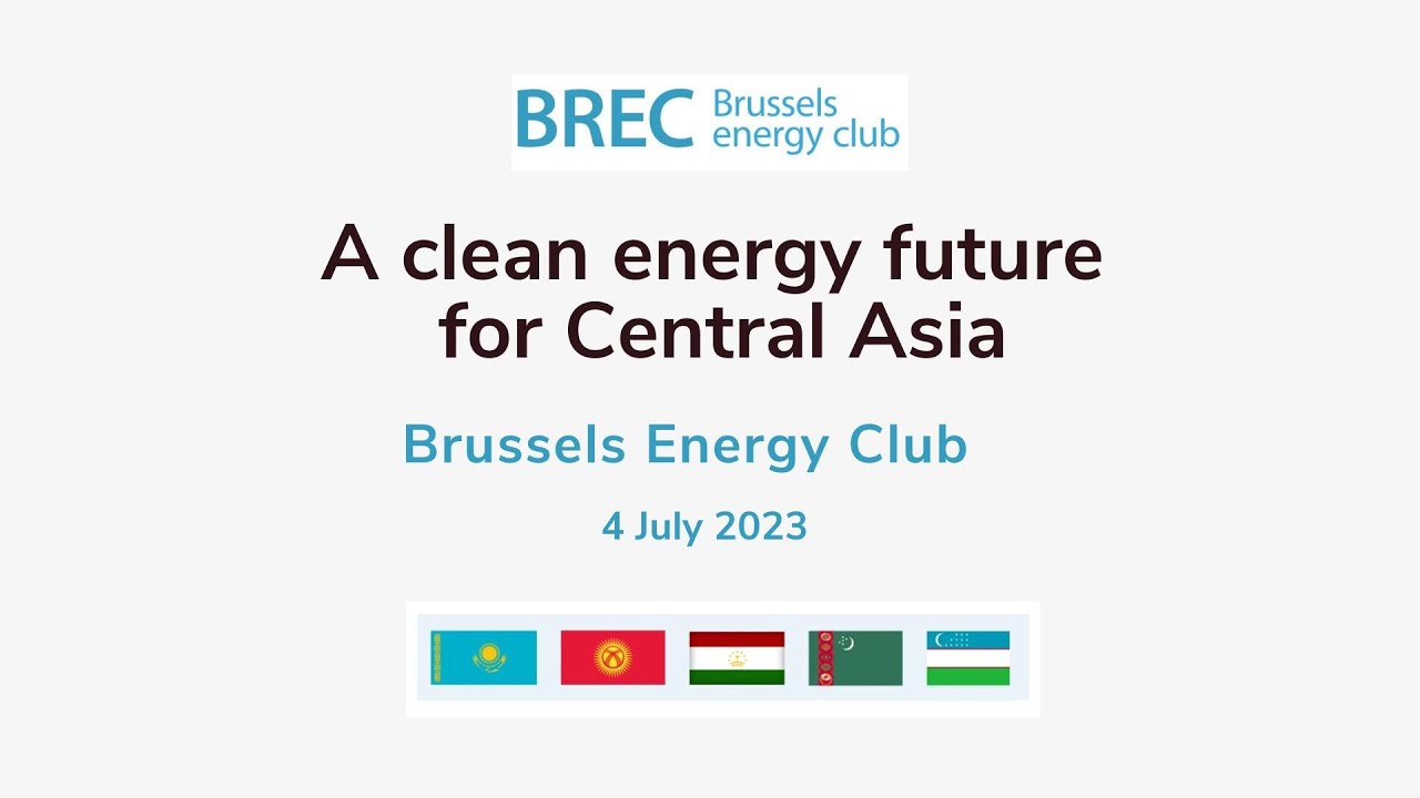 Tomas Zdechovsky at BREC conference on Central Asia