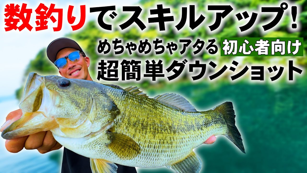 【ダウンショット①】超簡単な数釣りする為のダウンショット解説