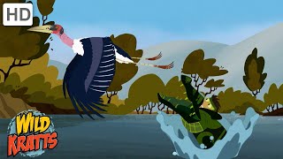 Every Creature Rescue Part 1 | Protecting The Earth's Wildlife | Wild Kratts by Wild Kratts - 9 Story 176,528 views 1 month ago 15 minutes