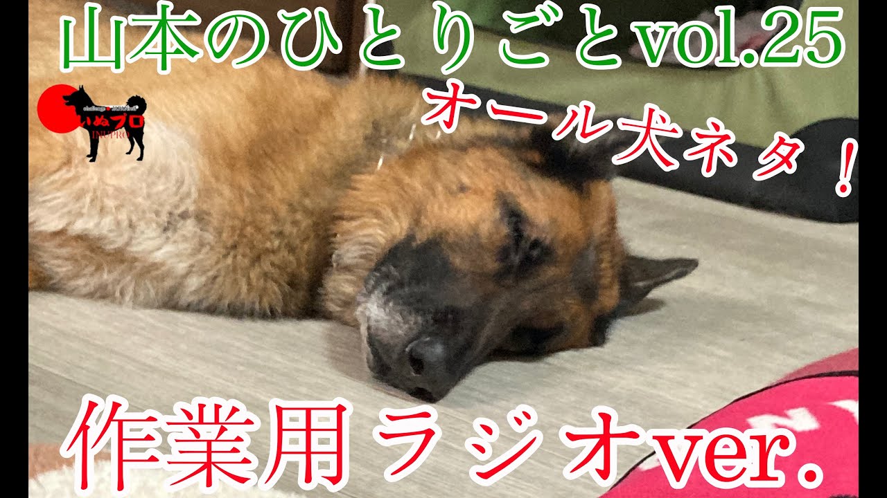作業用ラジオ 山本のひとりごとvol 25 ドッグトレーナーについて思う事 オール犬ネタ Psdドッグサポートセンター いぬプロ 犬プロ Inupro 犬のしつけ 教育 訓練士 Youtube