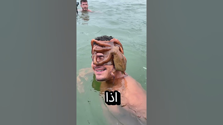 التصق اخطبوط في وجه هذا الشاب اثناء السباحة! 😧