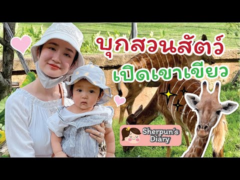 พาลูกเที่ยวสวนสัตว์เปิดเขาเขียว ช่วงนี้พาลูกไปเที่ยวไหนดี | Sherpun's Diary