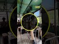 Diljit Dosanjh shared a Border 2 BTS moment from a Punjab Roadways bus.