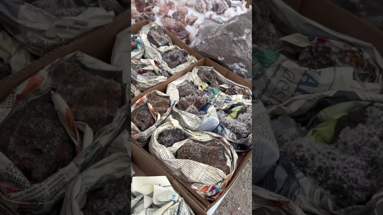 2026 Desert Gardens Gem and Mineral Show Quartzsite Arizona ✌️🤠