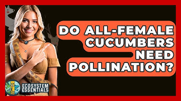 Do All-Female Cucumbers Need Pollination? - Ecosystem Essentials