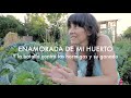 Enamorada de mi Huerto | Control de #Hormigas, #Tomates nuevos y Un Queque para las Plagas