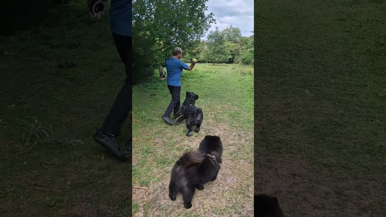 Right in the family jewels 💥😂