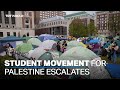 Propalestine protesters in us stand firm despite arrests