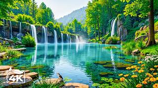 Beautiful Relaxing Music & Nature Sounds 🕊️ Reduce Stress, Stop Overthinking and Deep Sleep #10 screenshot 4